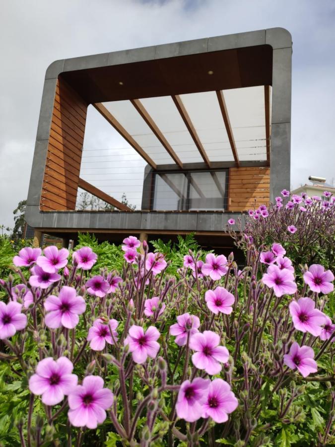 Calheta Glamping Pods - Nature Retreat Eksteriør bilde