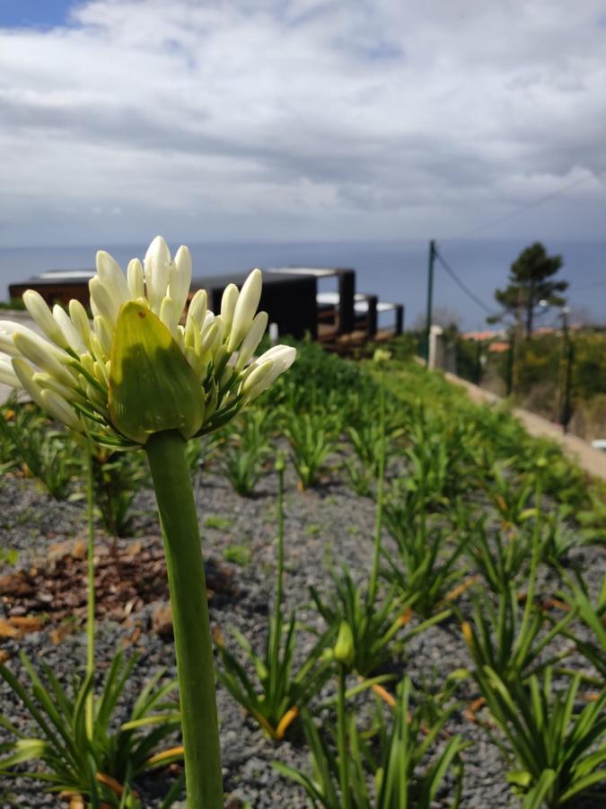 Calheta Glamping Pods - Nature Retreat Eksteriør bilde