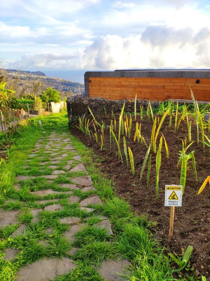 Calheta Glamping Pods - Nature Retreat Eksteriør bilde